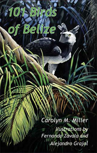 101 Birds of Belize